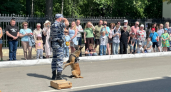 Ретроавтомобили ГАИ и служебные собаки: в Кирове прошла акция "Один день с полицией России"